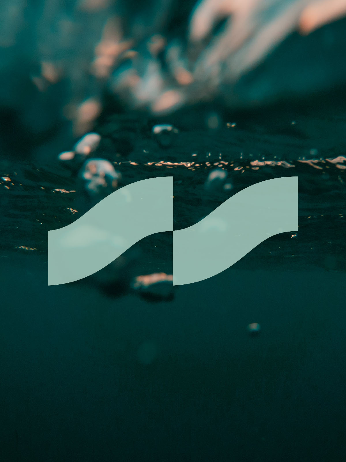 Seeweed Studio