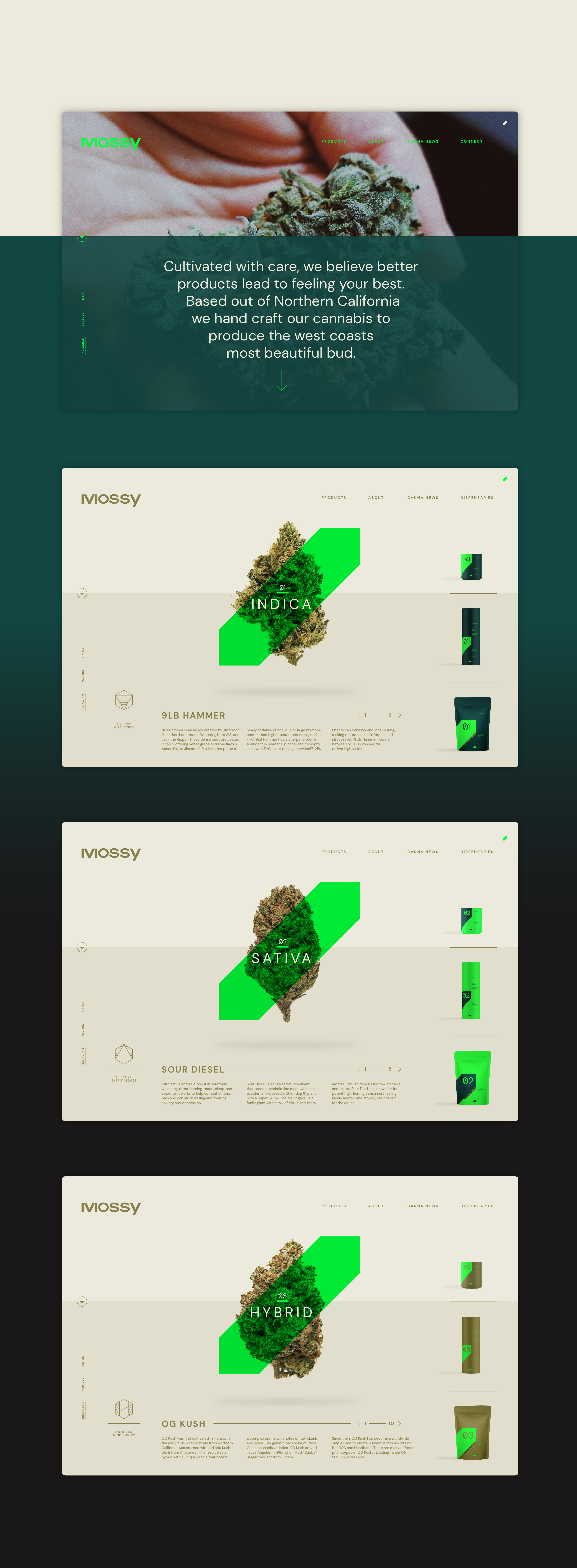 Mossy_BrandKit_06