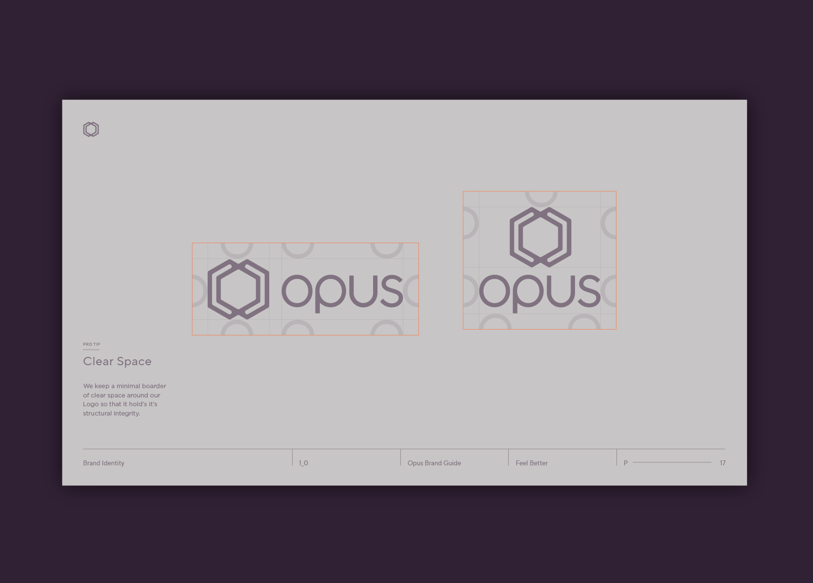 Opus_Guidelines_13