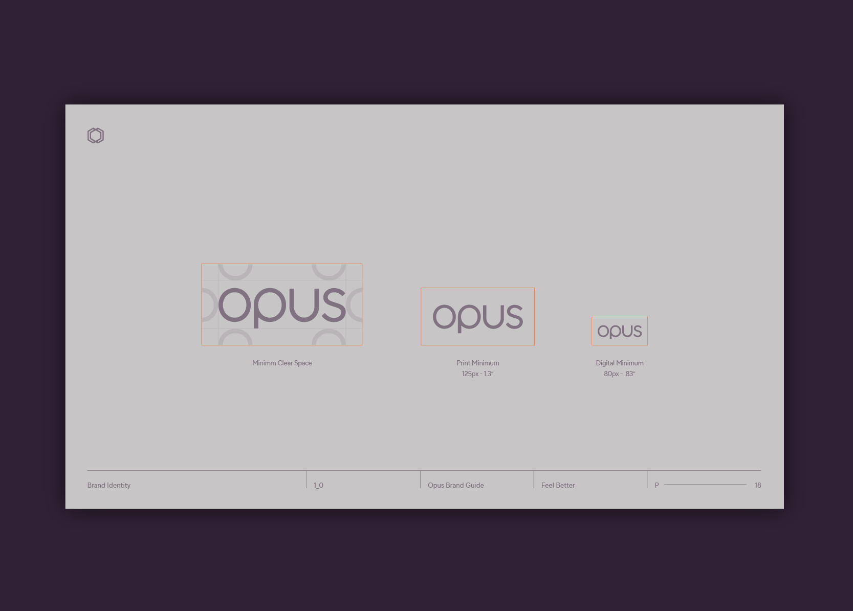 Opus_Guidelines_14